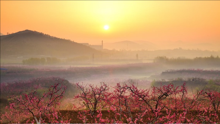 QQ20250327-173624.jpg